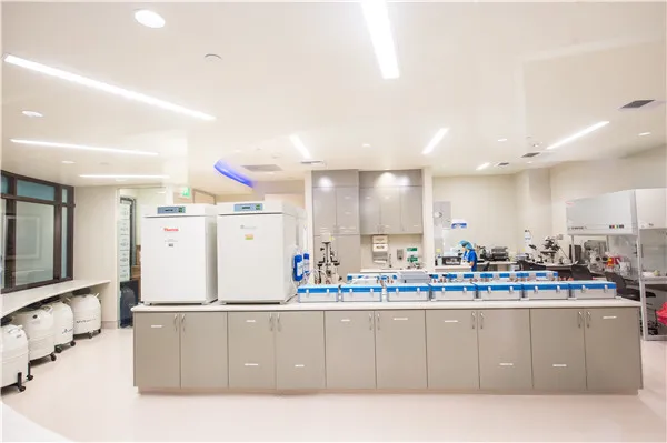 IVF實驗室設計探討